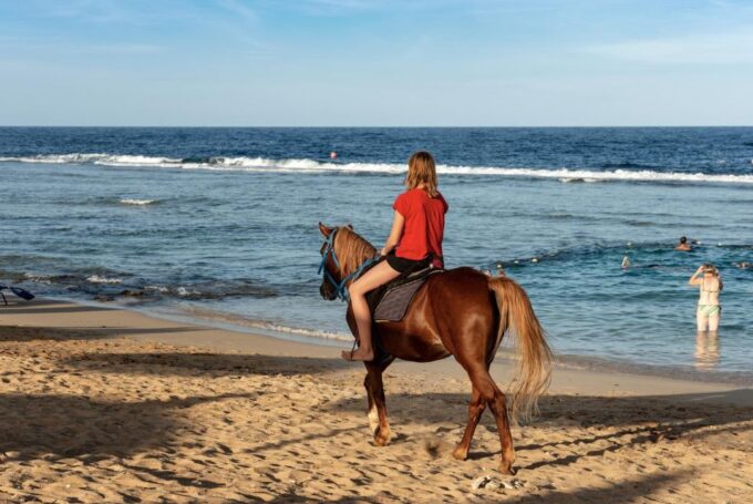 Hurghada: Horse Ride Along the Sea & Desert With Transfers - Frequently Asked Questions
