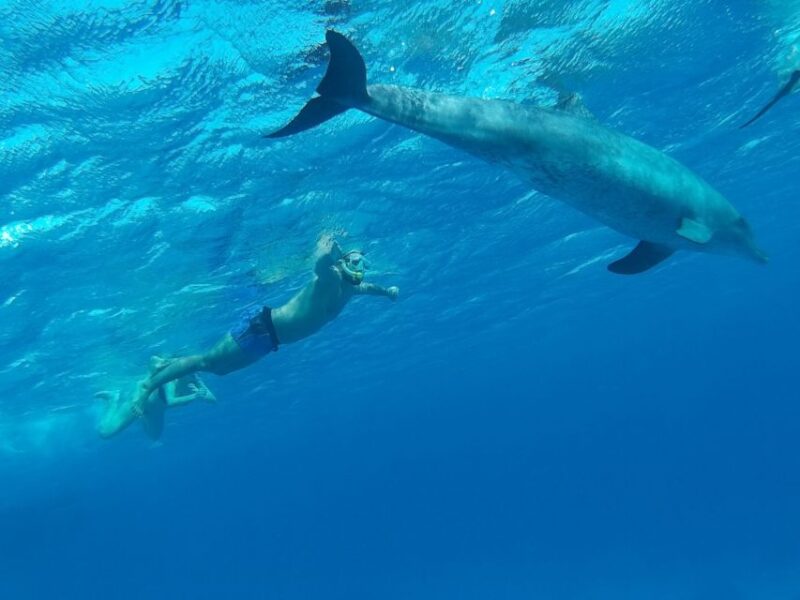 Hurghada: Luxury Cruise Trip to Orange Bay With Lunch - Marine Life Exploration