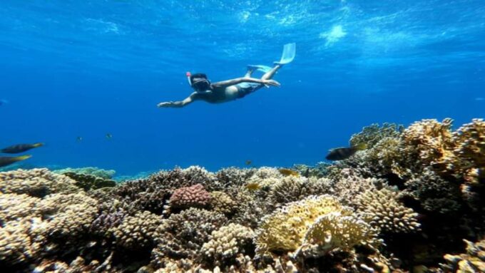 Hurghada: Luxury Cruise Trip to Orange Bay With Lunch - Customer Feedback