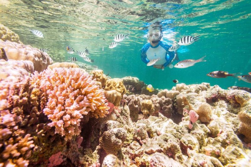 Hurghada: Magawish Island & Parasailing Tour W Buffet Lunch - Additional Information