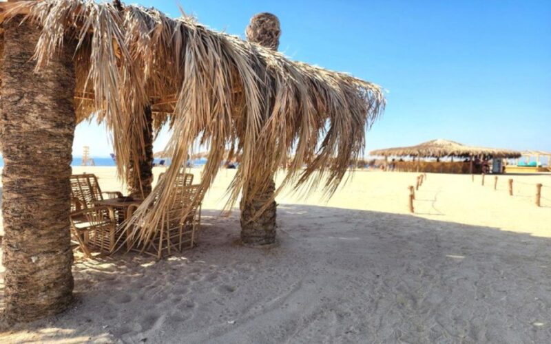 Hurghada: Magawish Island & Parasailing Tour W Buffet Lunch - Customer Reviews and Ratings