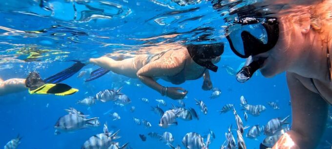 Hurghada: Nemo Island Speedboat Tour With Snorkeling & Lunch - Frequently Asked Questions