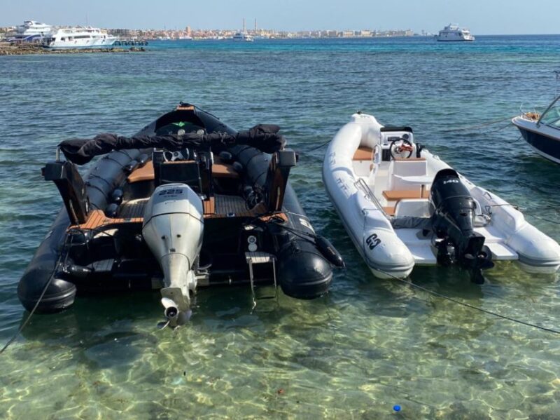 Hurghada: Orange Bay Dolphin Watching, Snorkeling & Lunch - Important Information and Requirements