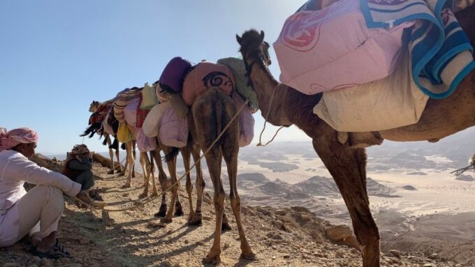 Hurghada: Orange Island, Grand Safari, Dolphin House Package - Important Information