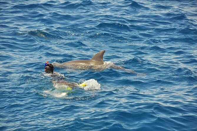 Hurghada: Orange Island Snorkeling Trip With Lunch - Lunch Options Available