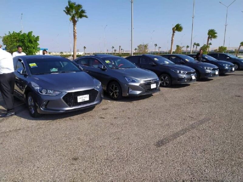 Hurghada: Private Transfer To/From Aswan - Included Services