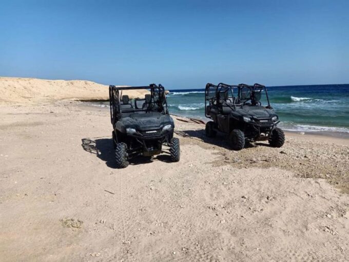 Hurghada: Sea and Mountains Quad or Buggy Family Tour - Tips for a Great Experience