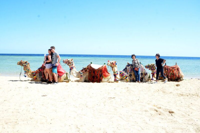 Hurghada: Sea & Desert Camel Ride W/Dinner, Show, Stargazing - Inclusions and Extras