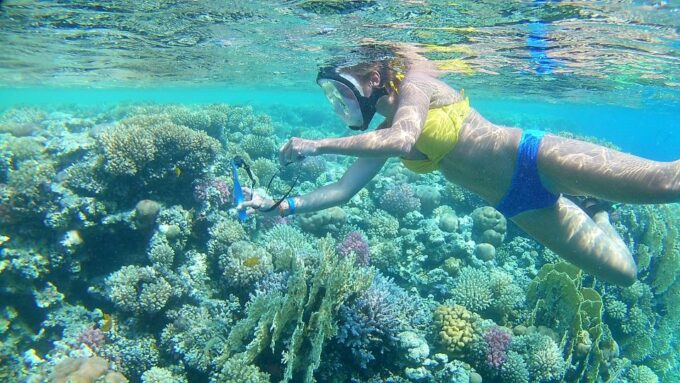 Hurghada: Snorkelling Trip by Speedboat With Hotel Pickup - Pricing and Cancellation Policy
