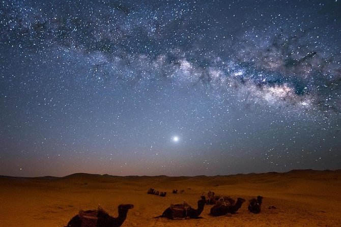 Hurghada: Star Watching Desert Adventure by Jeep With Dinner - Pricing Details