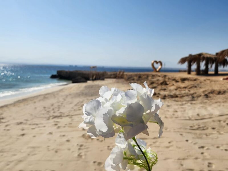 Hurghada: Three Hours on Magawish Island Tour by Speedboat - Important Information