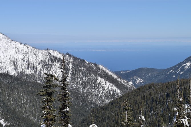 Hurricane Ridge Guided Snowshoe Tour in Olympic National Park - Physical Requirements