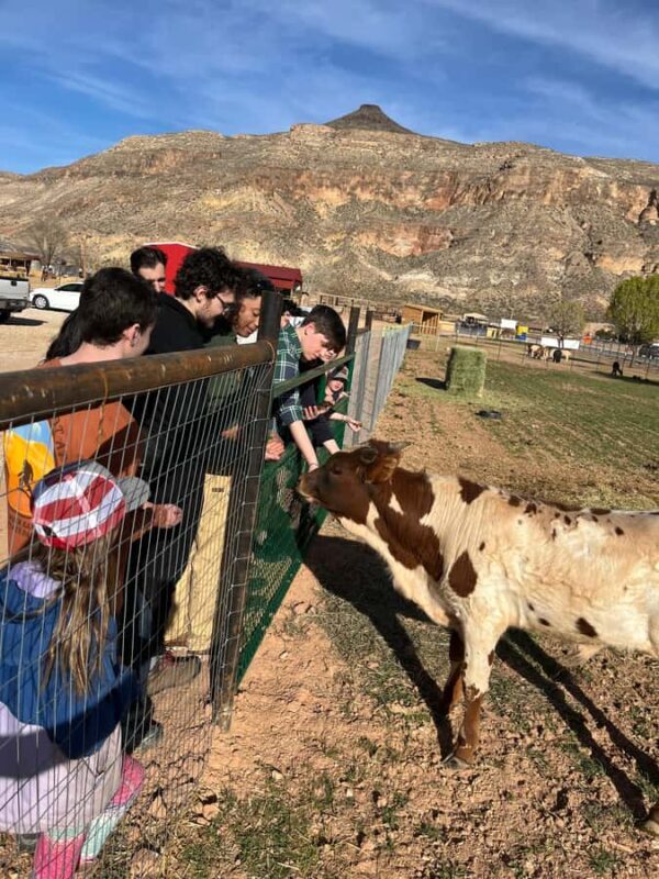 Hurricane, Utah: Guided Farm Tour with Animal Feeding - Final Thoughts