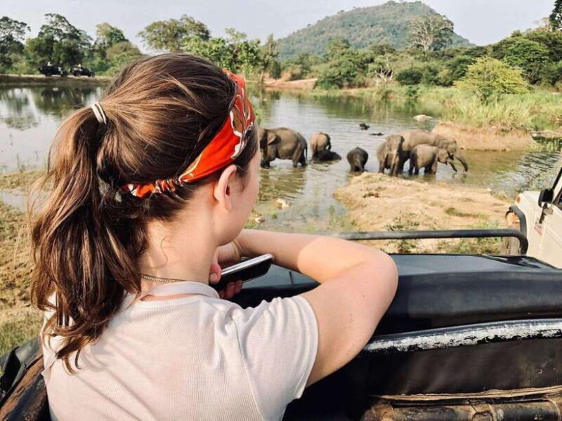 Hurulu Eco Park Habarana Wild Elephant Safari - The Sum Up