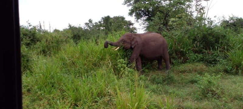 Hurulu Eco Park Safari - The Sum Up