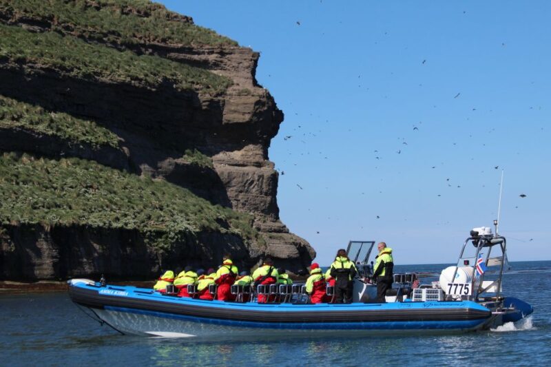 Húsavík: Big Whale Safari & Puffin Island Tour - Customer Reviews