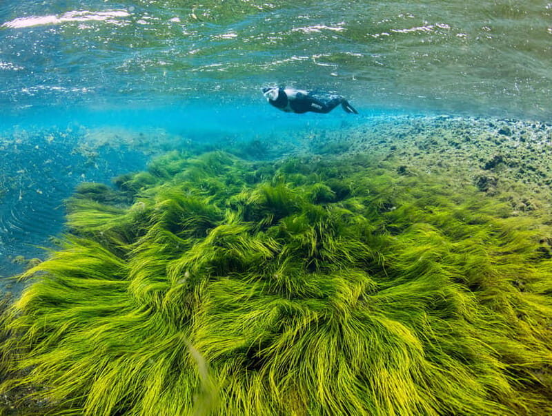 Húsavík: Bubbling Sands Snorkeling Tour - What to Expect During the Tour