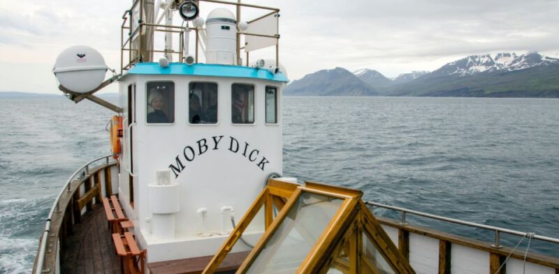 Húsavík: Family-Run and Guided Whale Watching Tour - Key Points