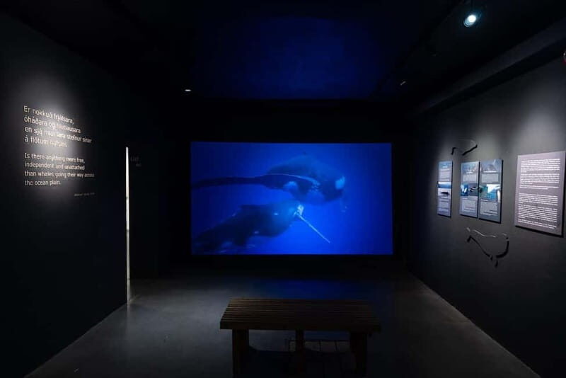 Húsavík: Whale Museum Entry Ticket - Final Thoughts: Is It Worth Visiting?