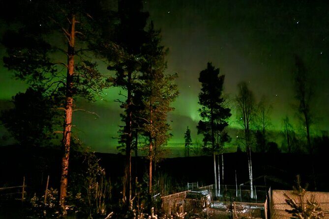 Husky Hike, Snowshoe hike with huskies - An In-Depth Look at the Husky Snowshoe Adventure