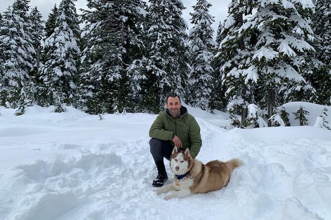 Husky Hikes Private Mountain Tours - Transportation and Pickup