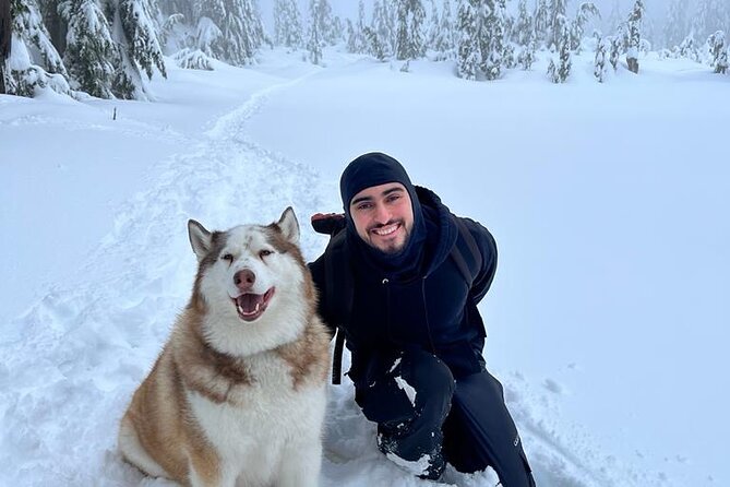 Husky Hikes Private Mountain Tours - Frequently Asked Questions