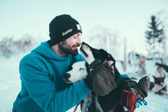 Husky Sledding Self-Drive Adventure in Tromso - Meeting Point and Logistics