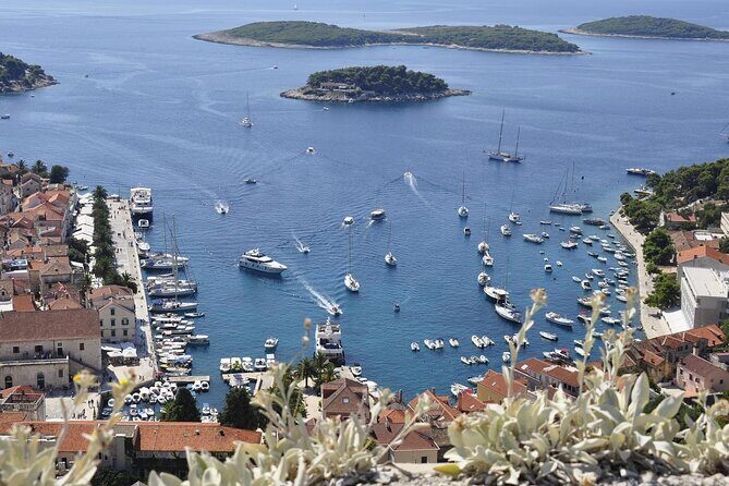Hvar - An Exclusive Private Walking Tour with a Local Guide - Who Should Consider This Tour?
