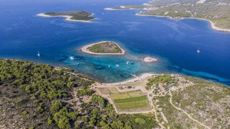 Hvar: Blue and Green Caves Boat Tour with Stiniva Beach - FAQ: Your Practical Questions Answered