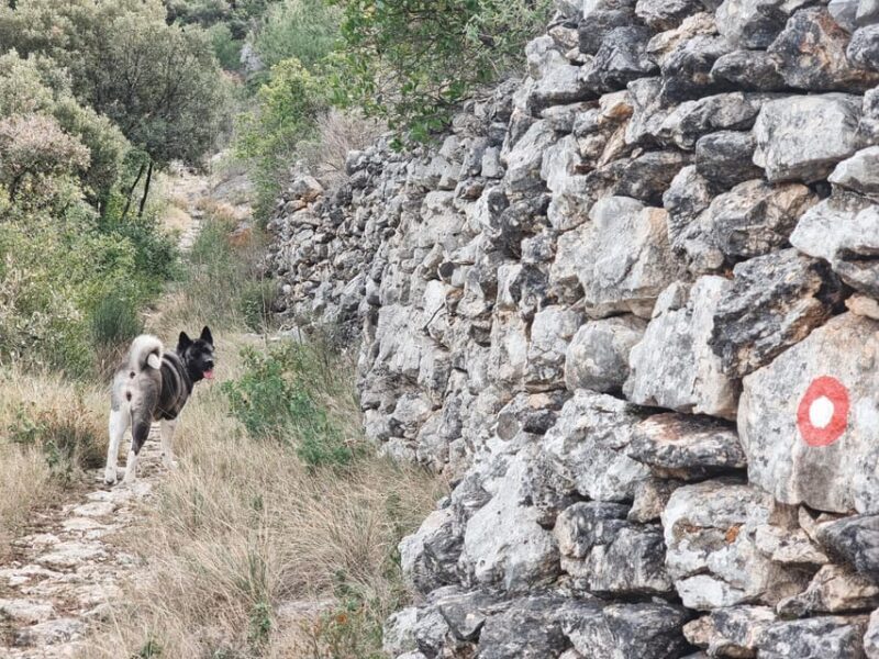 Hvar: Guided Hiking Tour in the Countryside - Key Points