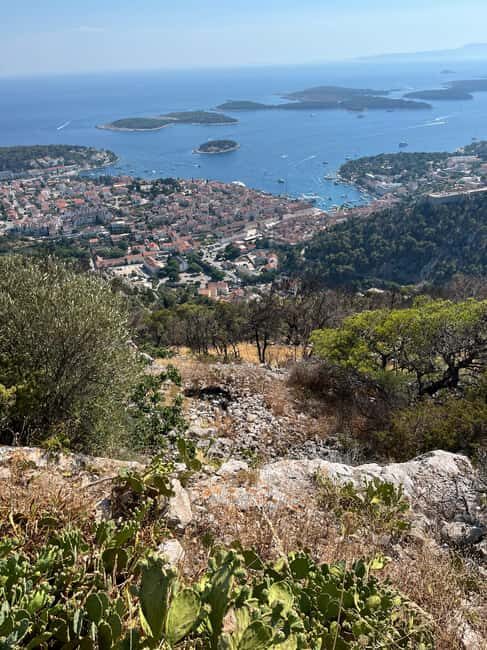 Hvar: Hvar Wine Tasting Experience - Key Points