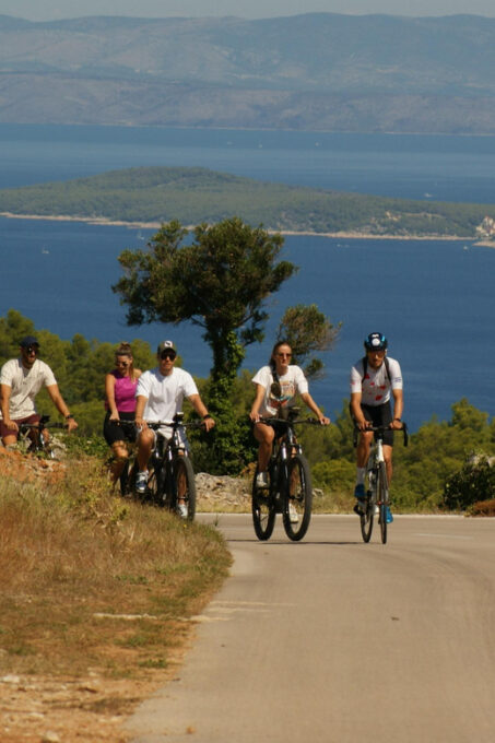 Hvar Island E-Bike Tour With Wine Tasting and Starters - Navigation Assistance