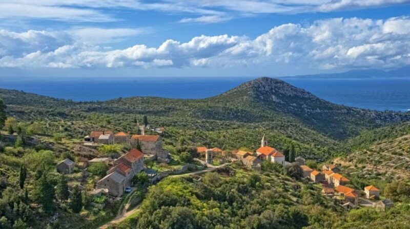 Hvar: Island tour with Wine and Olive Oil Tasting - The Value of the Experience