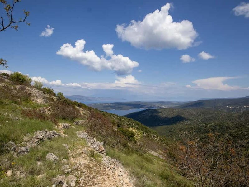 Hvar: Wine Tasting Tour and Island Sightseeing - Who Will Love This Tour?