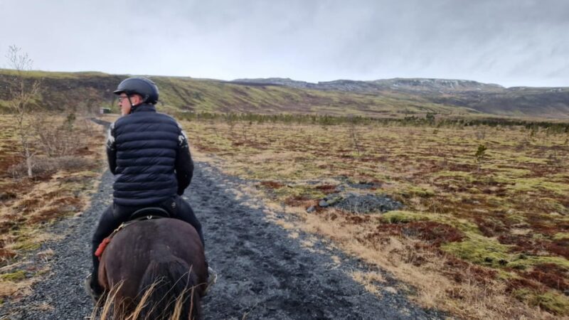 Hveragerði: Horseback Riding Tour for Beginners and - Key Points