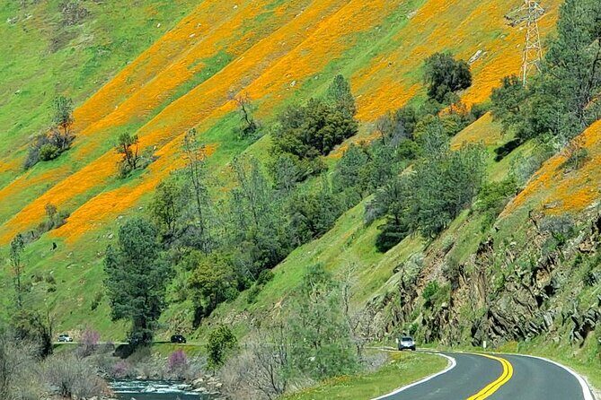 Hwy 140 Route Glacier Point and Yosemite Valley Small Group Tour - Final Thoughts