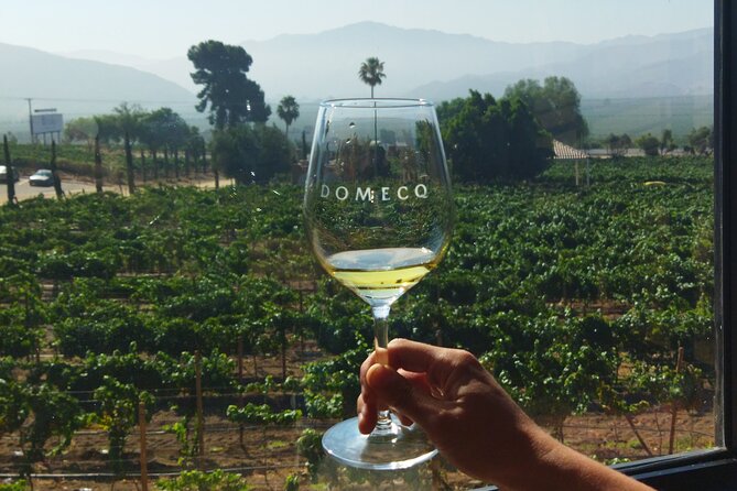 I Want More Wine, Valle De Guadalupe Tours - Tour Experience