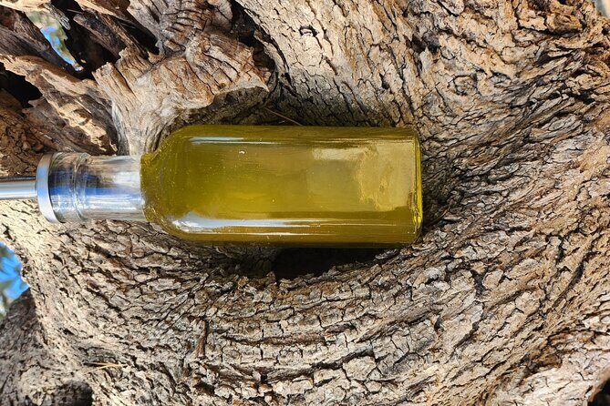 I wil explain you everything about our extravirgin olive oil - The Sum Up