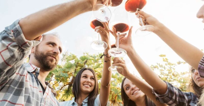 ian: Organic Winery Tour and Tasting Experience - A Closer Look at the Experience