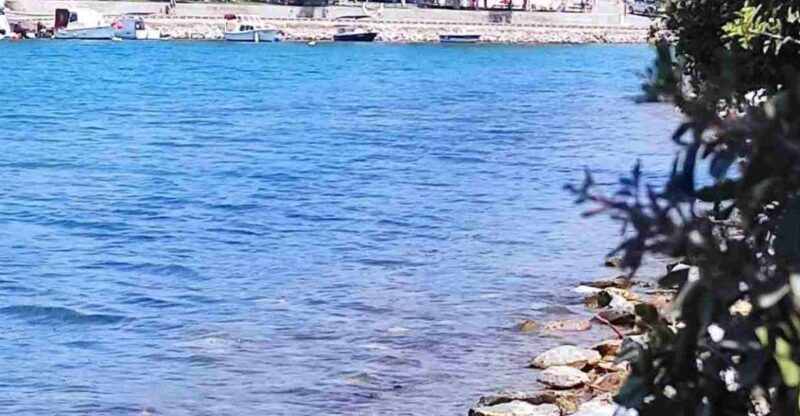 Iasos & Ancient Fish Market Tour - Unique Features of Iasos