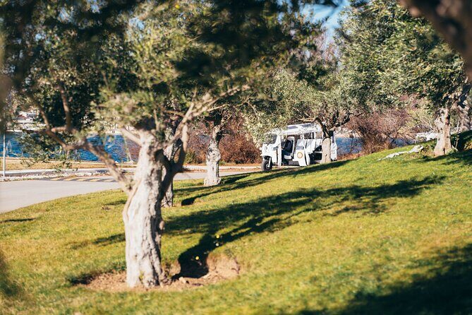 ibenik: 3 fortresses; City&wine tour; tasting and all fees inc - The Sum Up: Who Will Love This Tour?