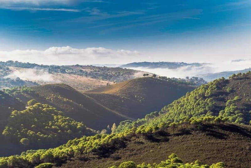 Iberian Ham Route and Tasting in the Sierra de Aracena - FAQ
