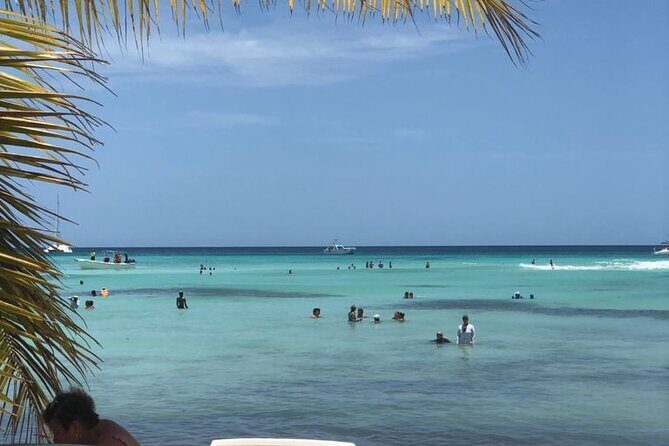 Iberostar Grand Bavaro - Round Trip Shuttle - Punta Cana Airport - Why This Transfer Makes Sense for You