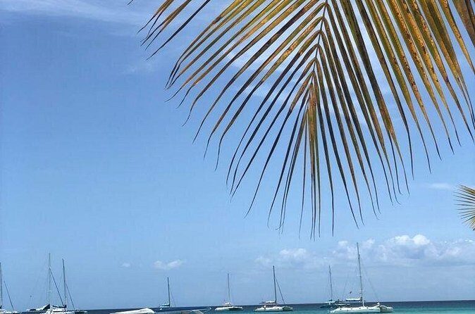 Iberostar Grand Bavaro - Round Trip Shuttle - Punta Cana Airport - Frequently Asked Questions