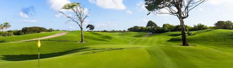 Iberostar Playa Paraiso Golf Club | Tee time Riviera Maya - Who Will Love This Experience?