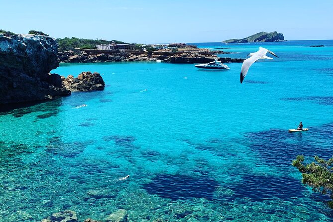 Ibiza All-Inclusive Cruise - Accessibility and Transportation