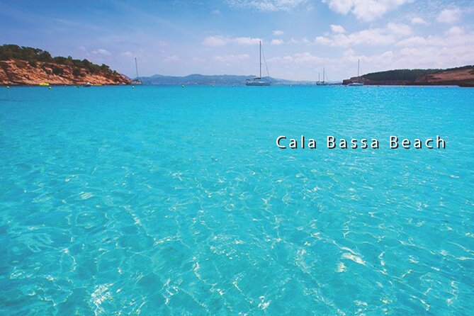 Ibiza All-Inclusive Cruise - Customer Reviews and Feedback