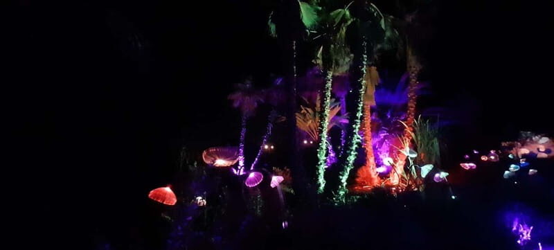 IBIZA: Astro Magic Lights at Bibo Park - Detailed Breakdown of the Itinerary