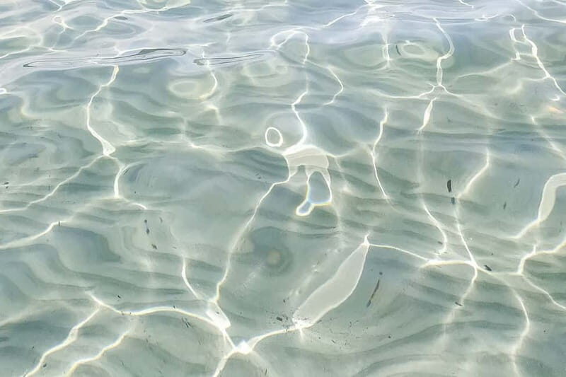 Ibiza: Beaches and Caves Instagram try-Snorkel experience - Final Thoughts