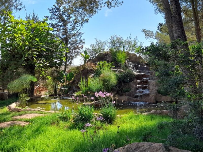 Ibiza: BIBO PARK Ibiza Botanical Biotechnological - Guided Tours and Accessibility